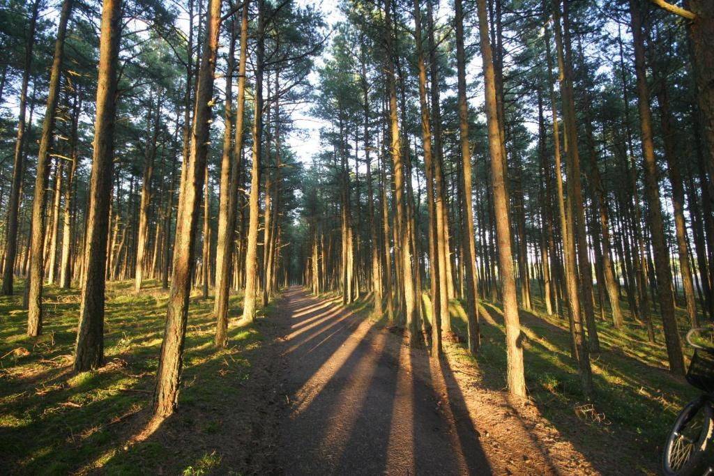 Фото  Forest Cottage Неринга 25